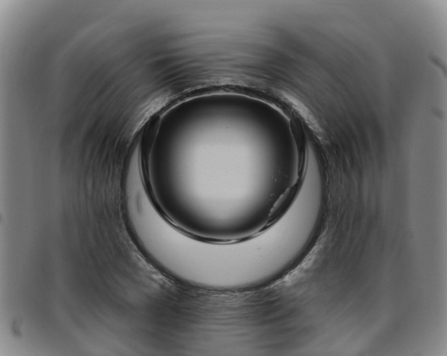 X0000096450977200801311447