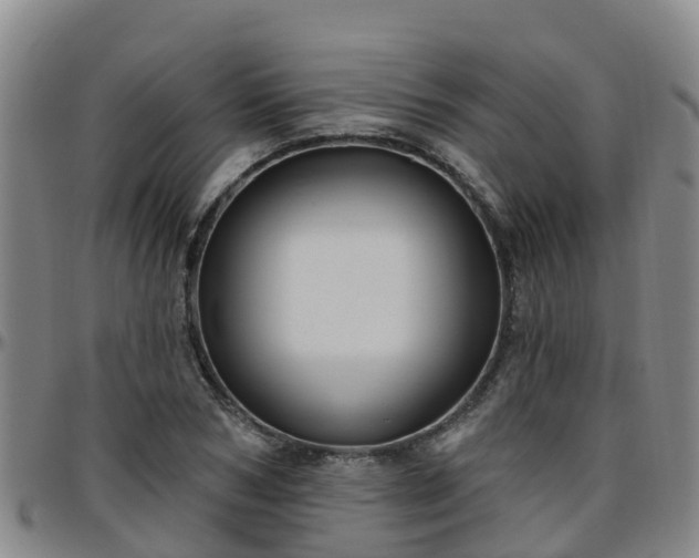 X0000096450978200801311447