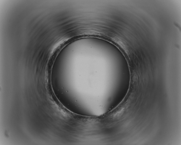 X0000096450979200801311447