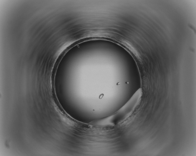 X0000096450980200801311447