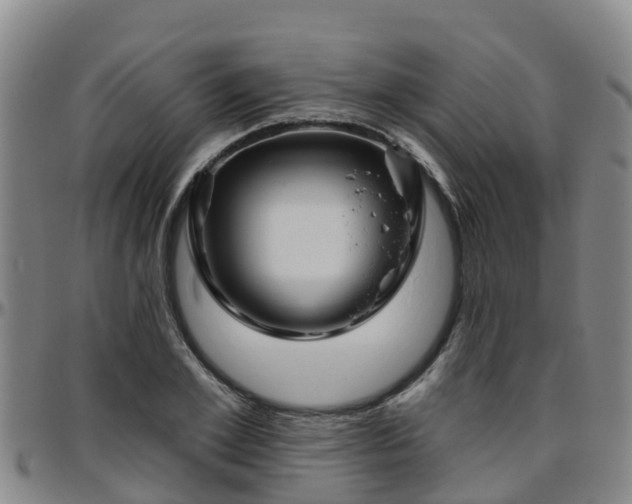 X0000096450981200801311447