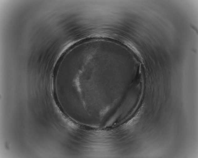 X0000096450984200801311447
