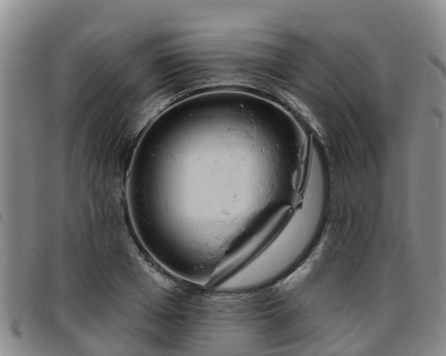 X0000096450985200801311447