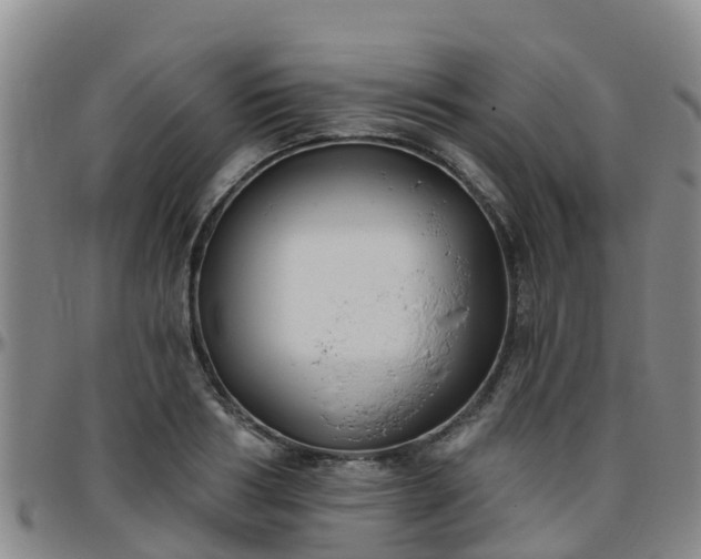 X0000096450986200801311447