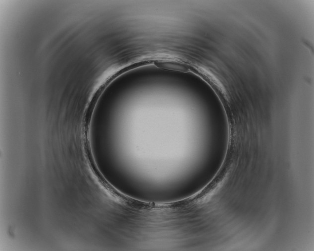 X0000096450989200801311446