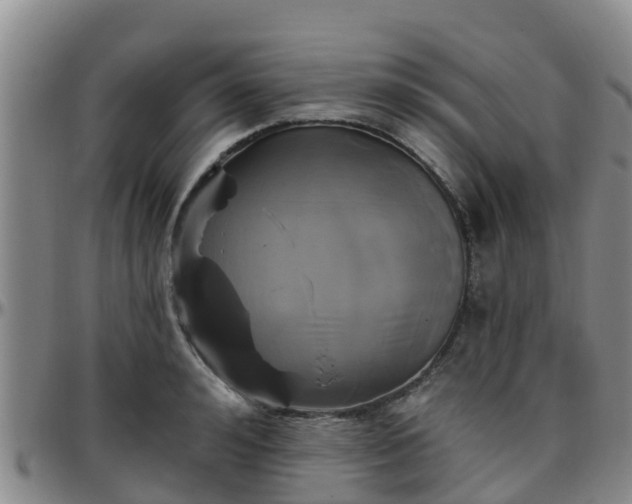 X0000096450992200801311446