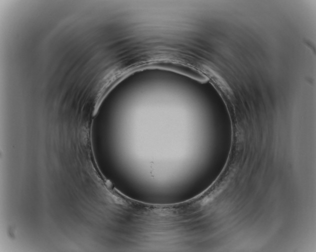 X0000096450993200801311446