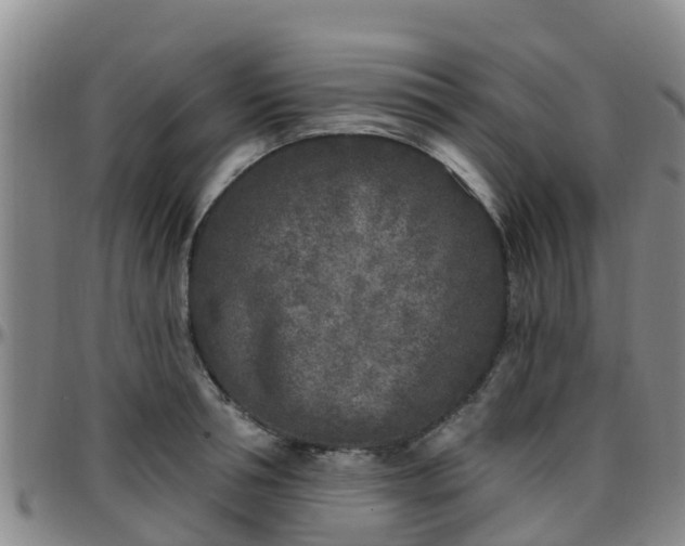 X0000096450994200801311446