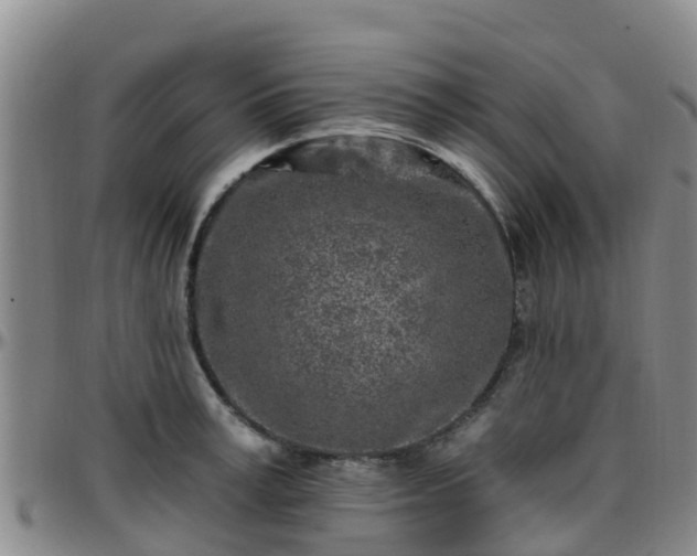 X0000096450995200801311446