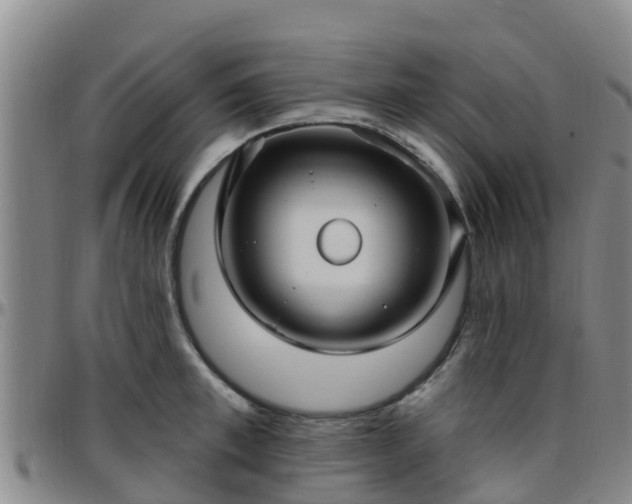X0000096450997200801311446