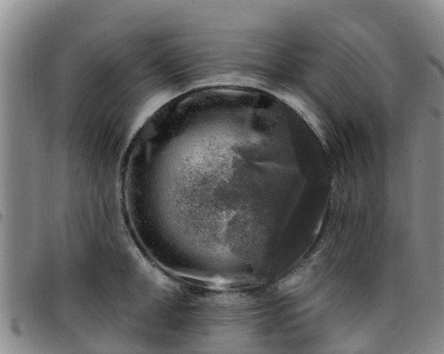 X0000096450998200801311446