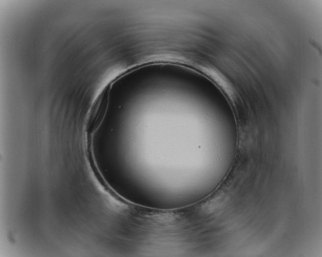 X0000096450999200801311446