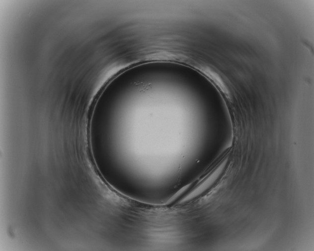X0000096451000200801311446