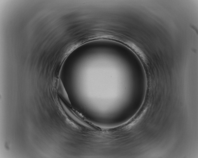 X0000096451001200801311446