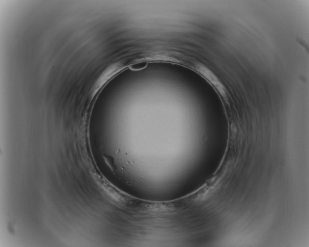 X0000096451002200801311446