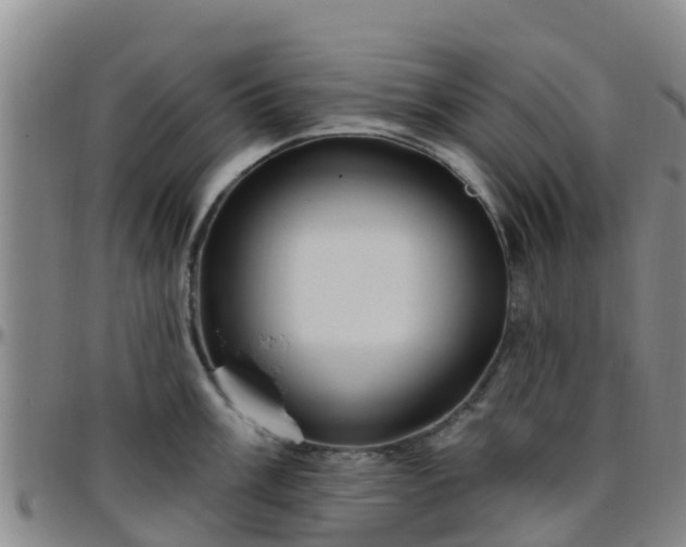 X0000096451003200801311446