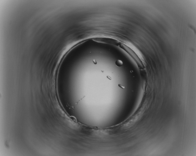 X0000096451004200801311446