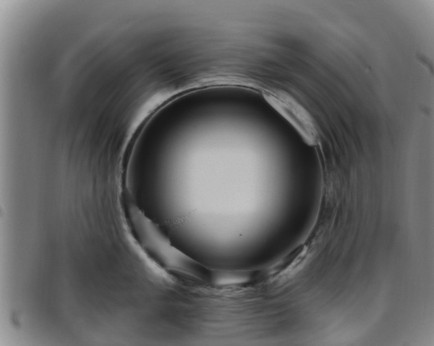 X0000096451005200801311446