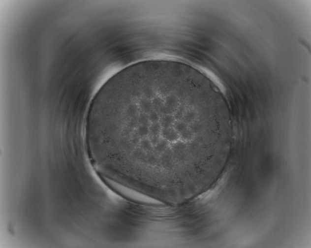 X0000096451007200801311446