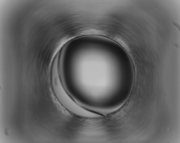 X0000096451008200801311446