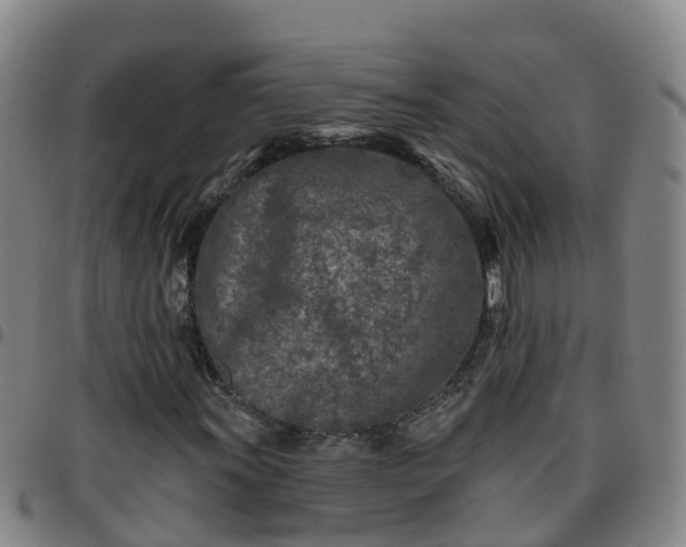 X0000096451011200801311446