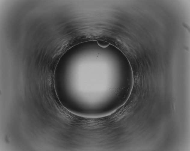 X0000096451012200801311446