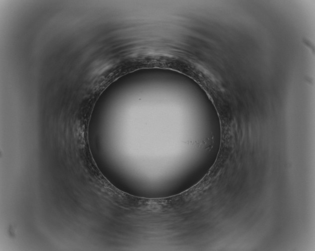 X0000096451013200801311446