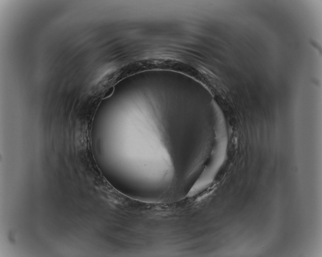 X0000096451014200801311446