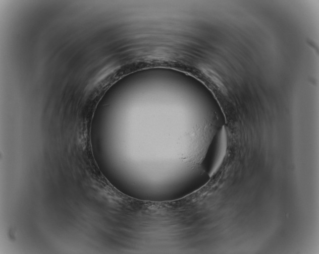 X0000096451015200801311446