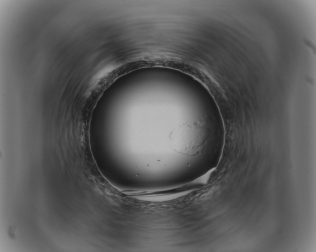 X0000096451016200801311446