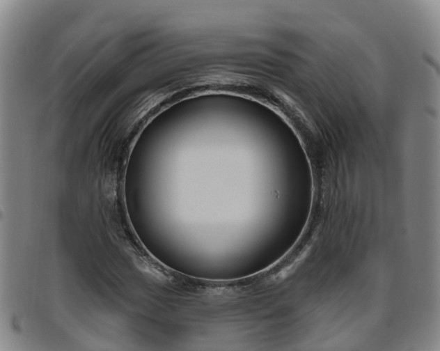 X0000096451017200801311446