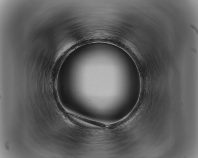 X0000096451018200801311446
