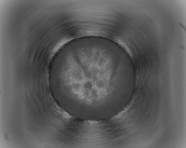 X0000096451019200801311446
