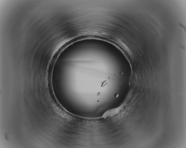 X0000096451020200801311446