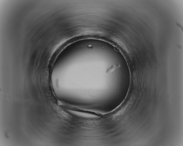 X0000096451021200801311446