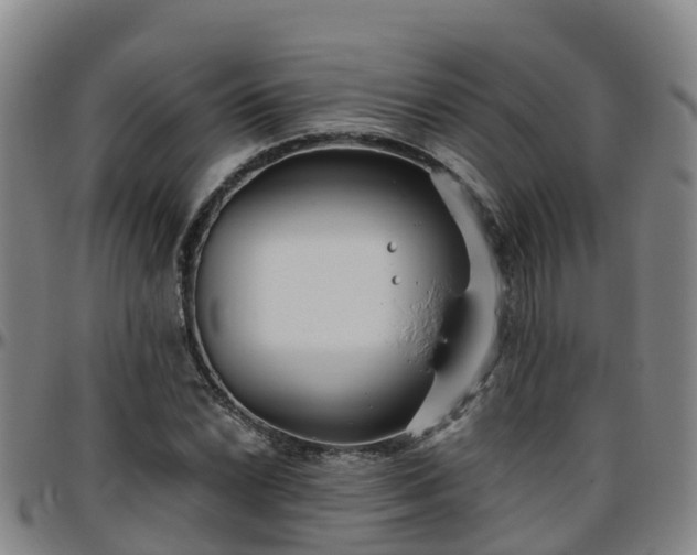X0000096451022200801311446