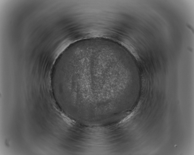 X0000096451023200801311446