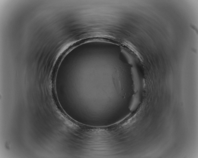 X0000096451024200801311446
