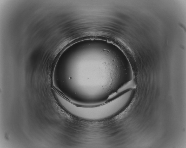 X0000096451025200801311446