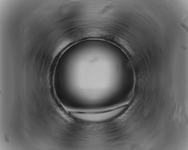 X0000096451026200801311446