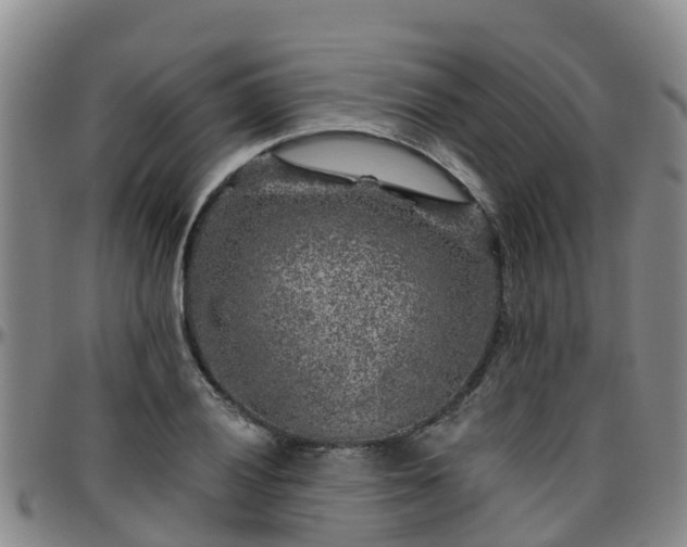 X0000096451028200801311446