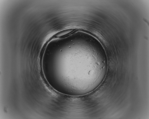 X0000096451030200801311446