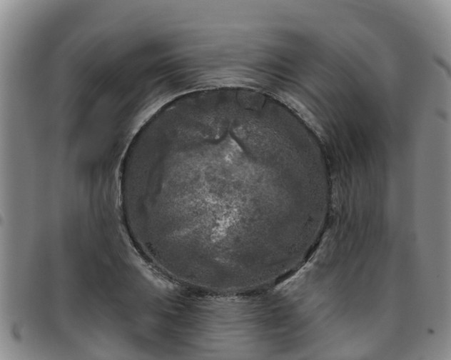X0000096451031200801311446