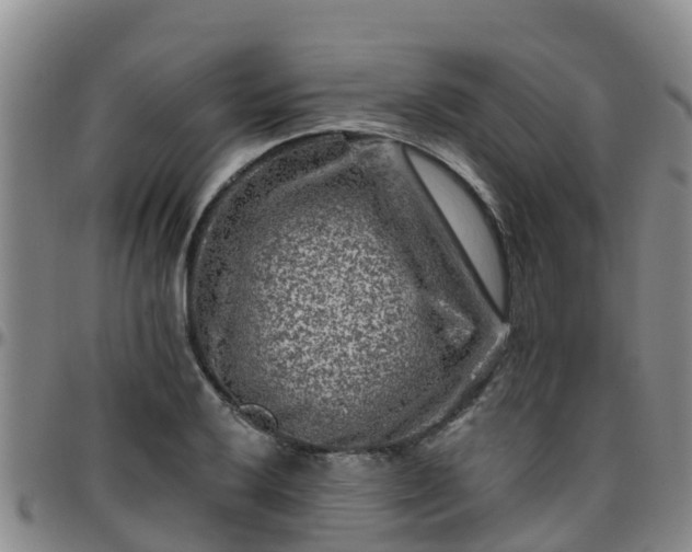 X0000096451032200801311446