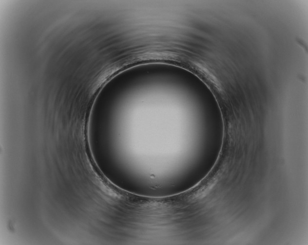X0000096451033200801311446
