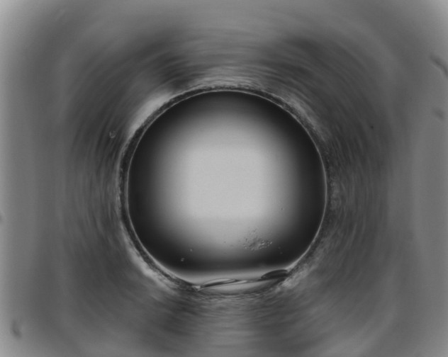 X0000096451038200801311446