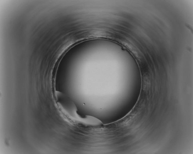 X0000096451039200801311446