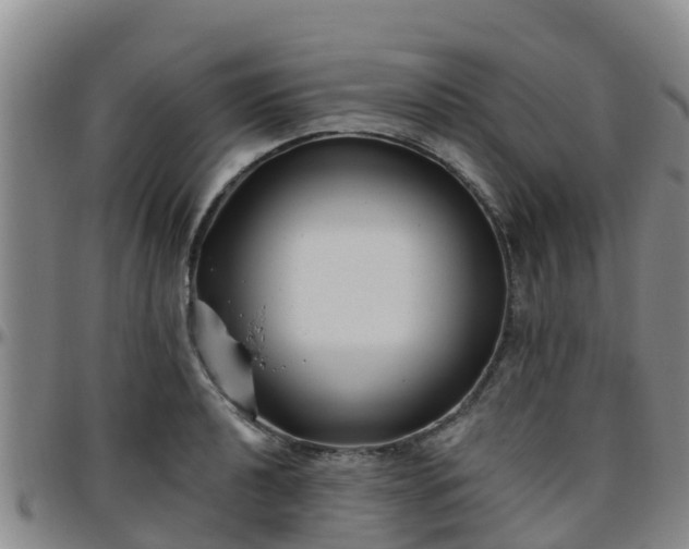 X0000096451040200801311446