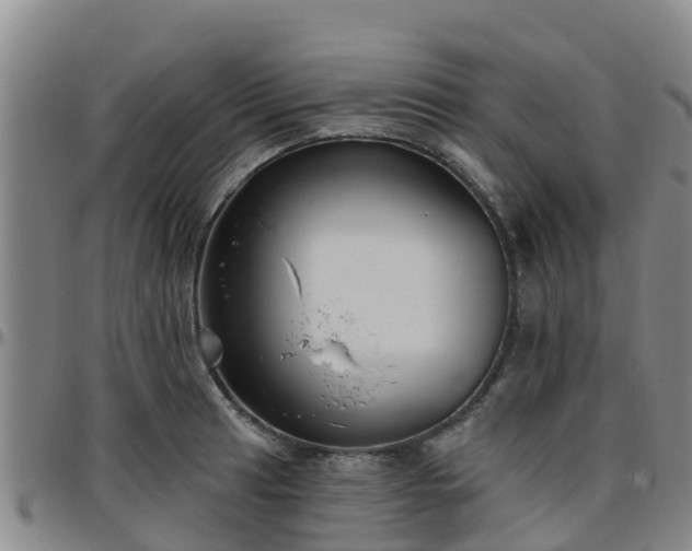 X0000096451041200801311446