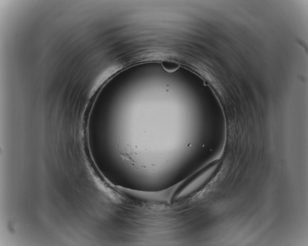 X0000096451042200801311446
